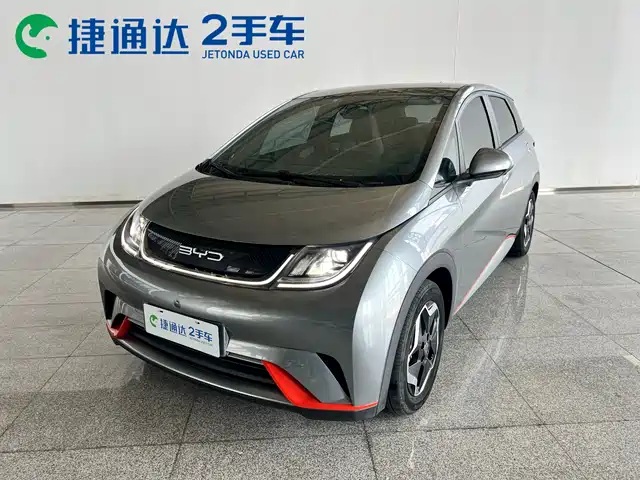 2023 BYD Dolphin