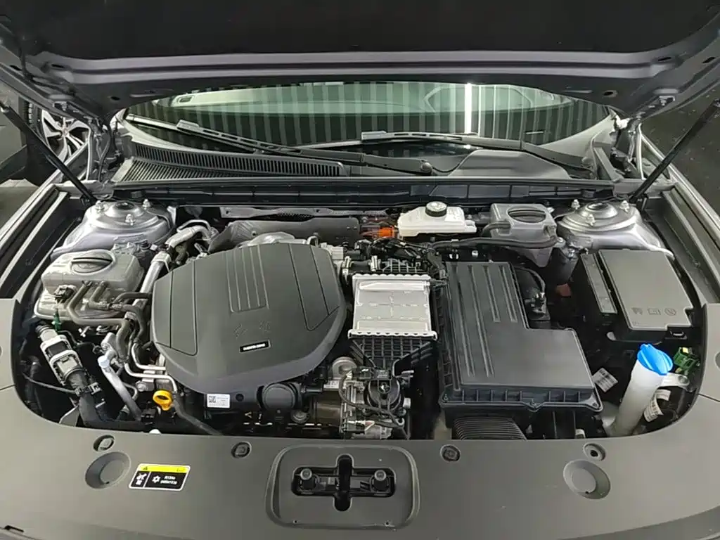 Hongqi Hongqi H5 PHEV — миниатюра 20
