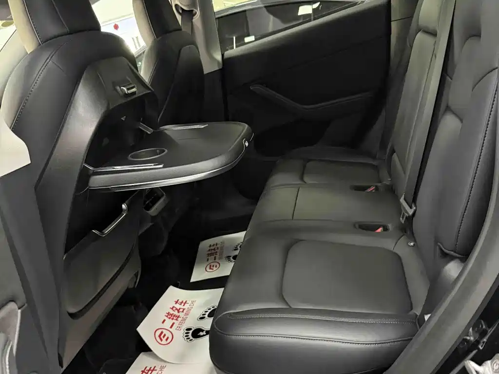 Tesla Model Y — миниатюра 8