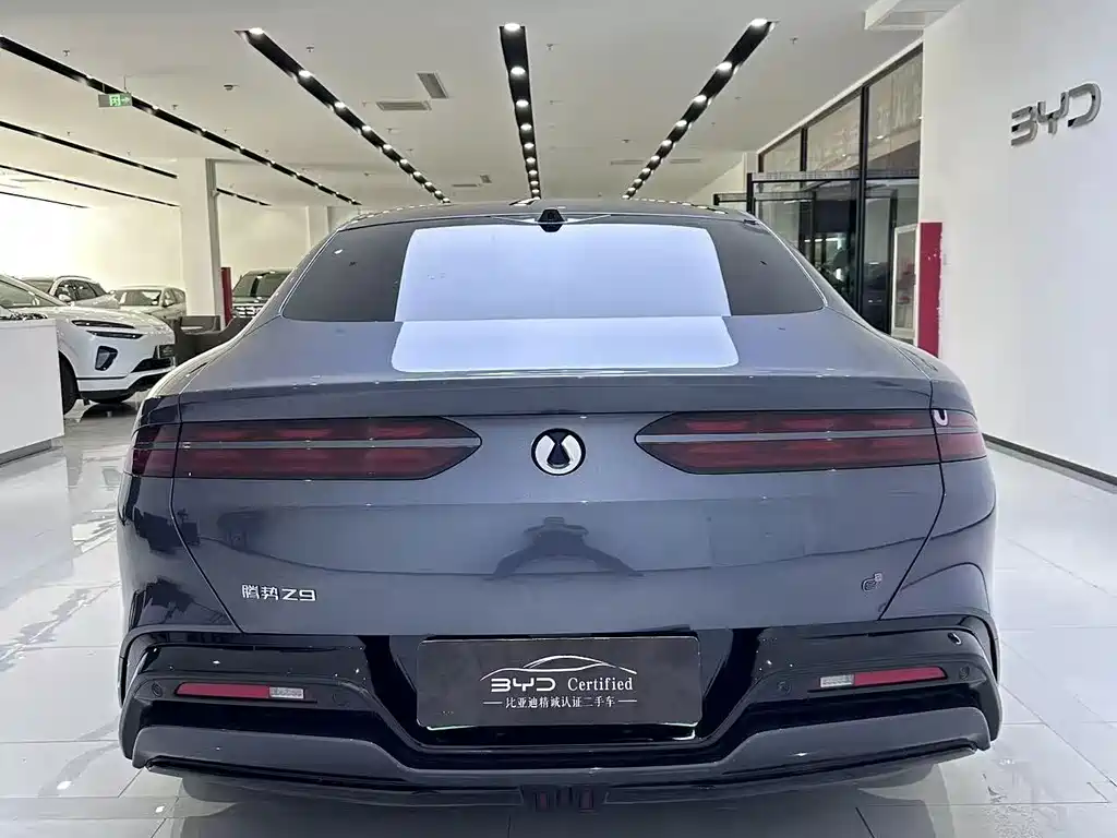 Denza Denza Z9 — миниатюра 9