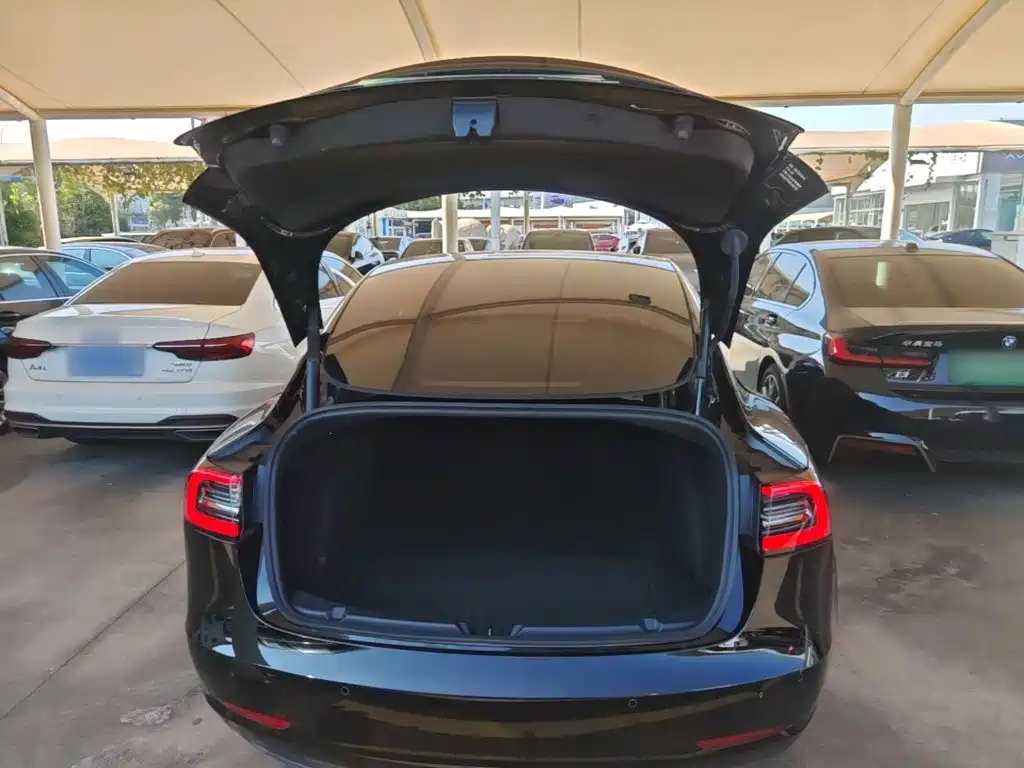 Tesla Model 3 — миниатюра 19