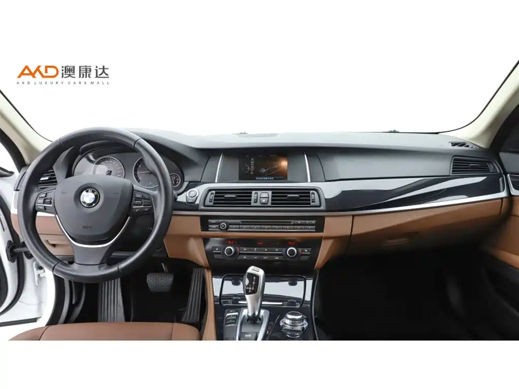 BMW 5 Series — миниатюра 5