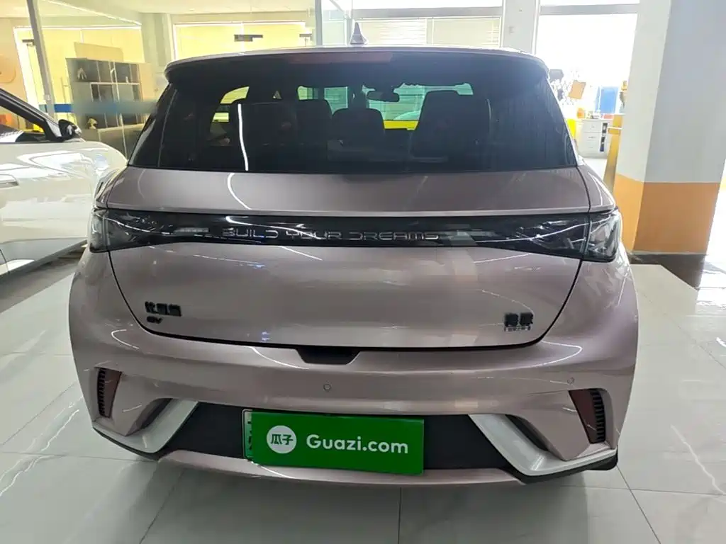 BYD Dolphin — миниатюра 6