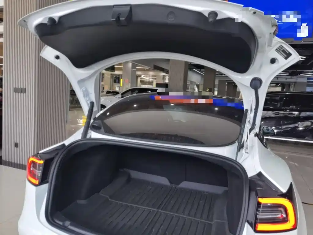 Tesla Model 3 — миниатюра 19