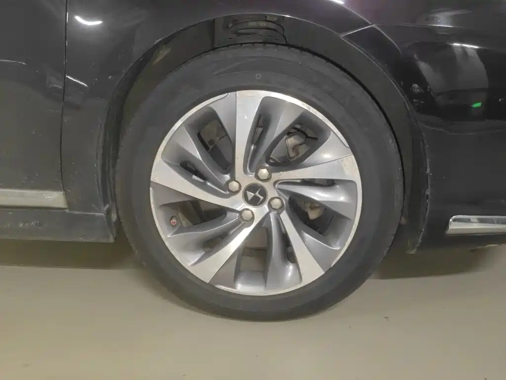 DS DS 5LS — миниатюра 8