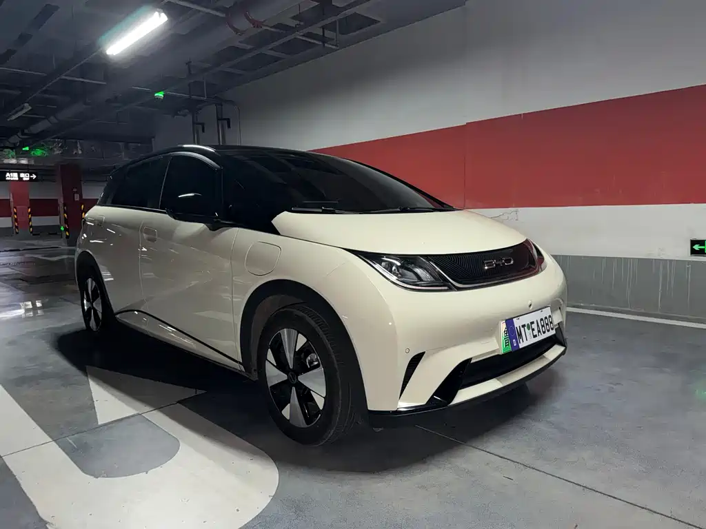 BYD Dolphin — миниатюра 3
