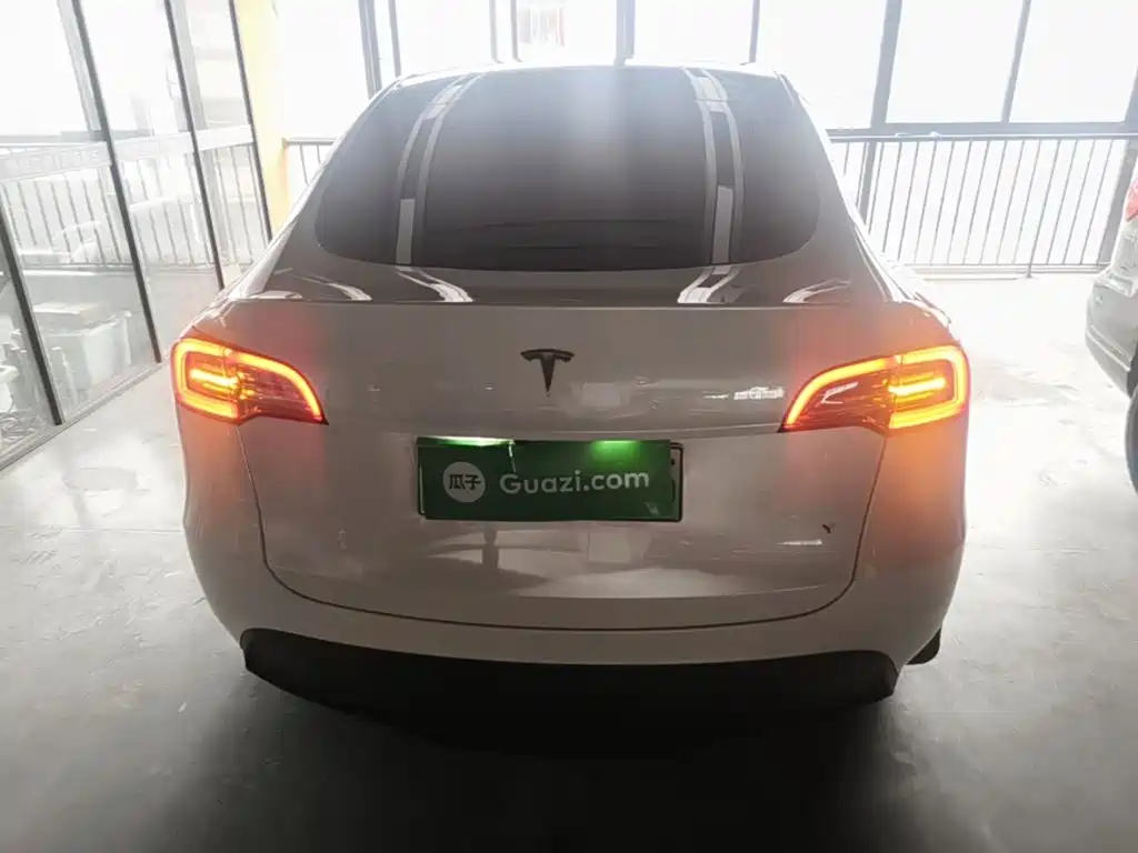 Tesla Model Y — миниатюра 6