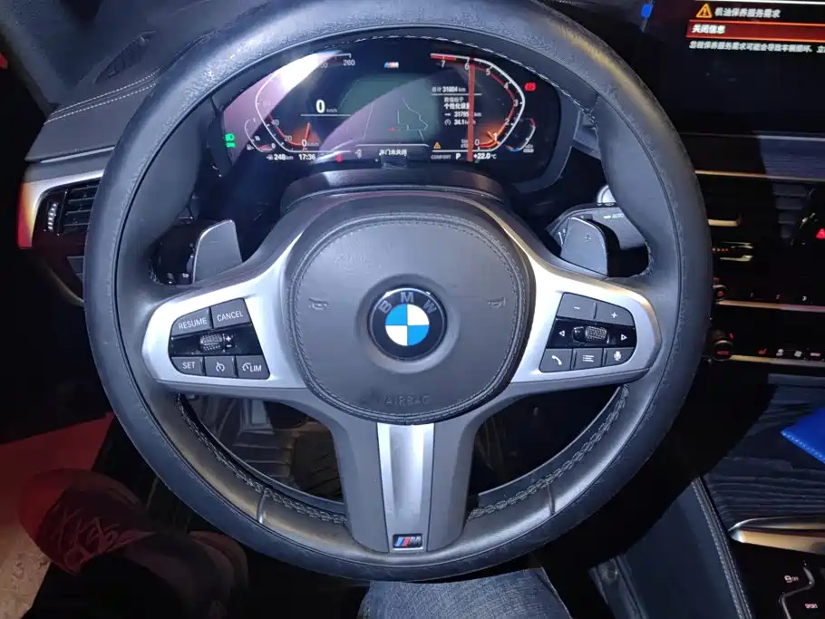 BMW 5 Series — миниатюра 15