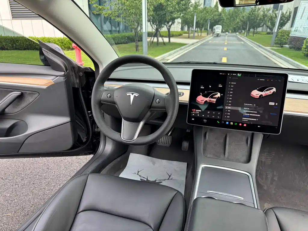 Tesla Model 3 — миниатюра 25