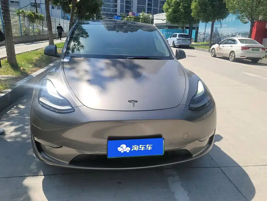 Tesla Model Y — миниатюра 2