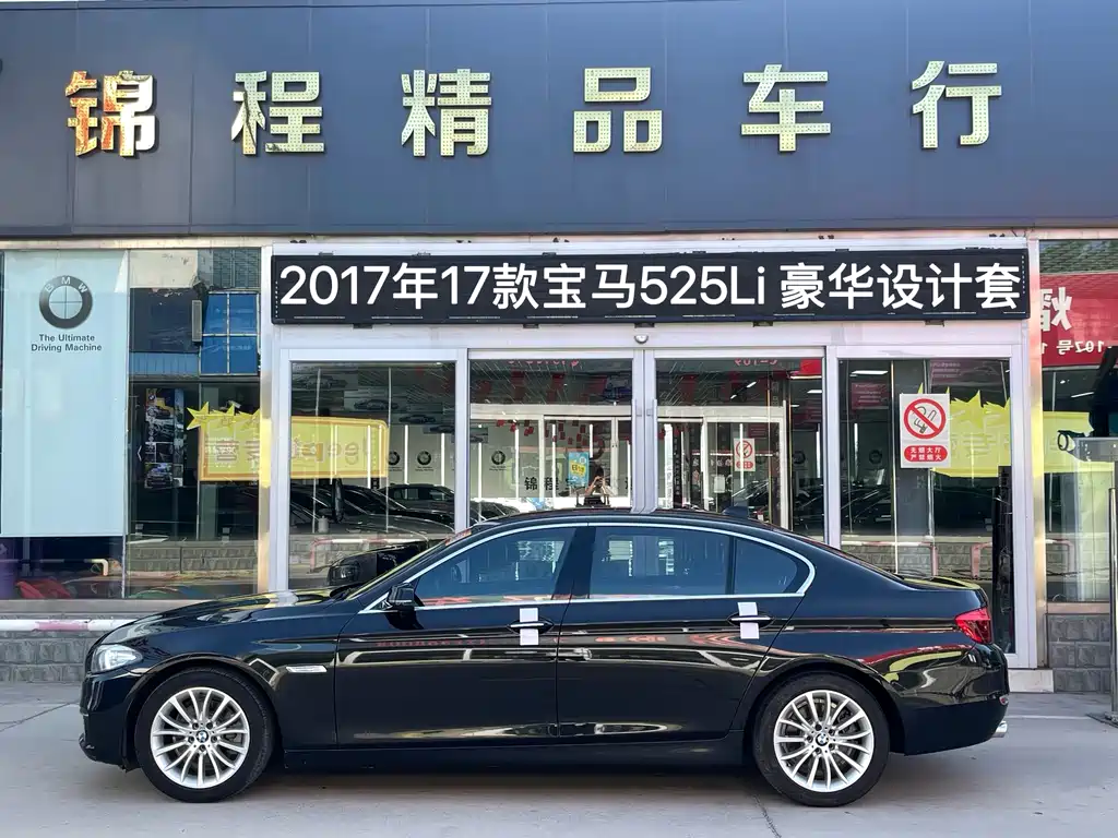 BMW 5 Series — миниатюра 5