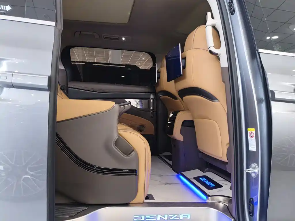 Denza Denza D9 — миниатюра 14