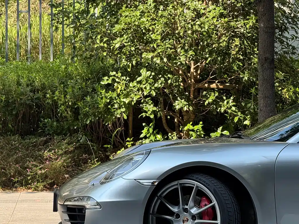 Porsche 911 — миниатюра 14