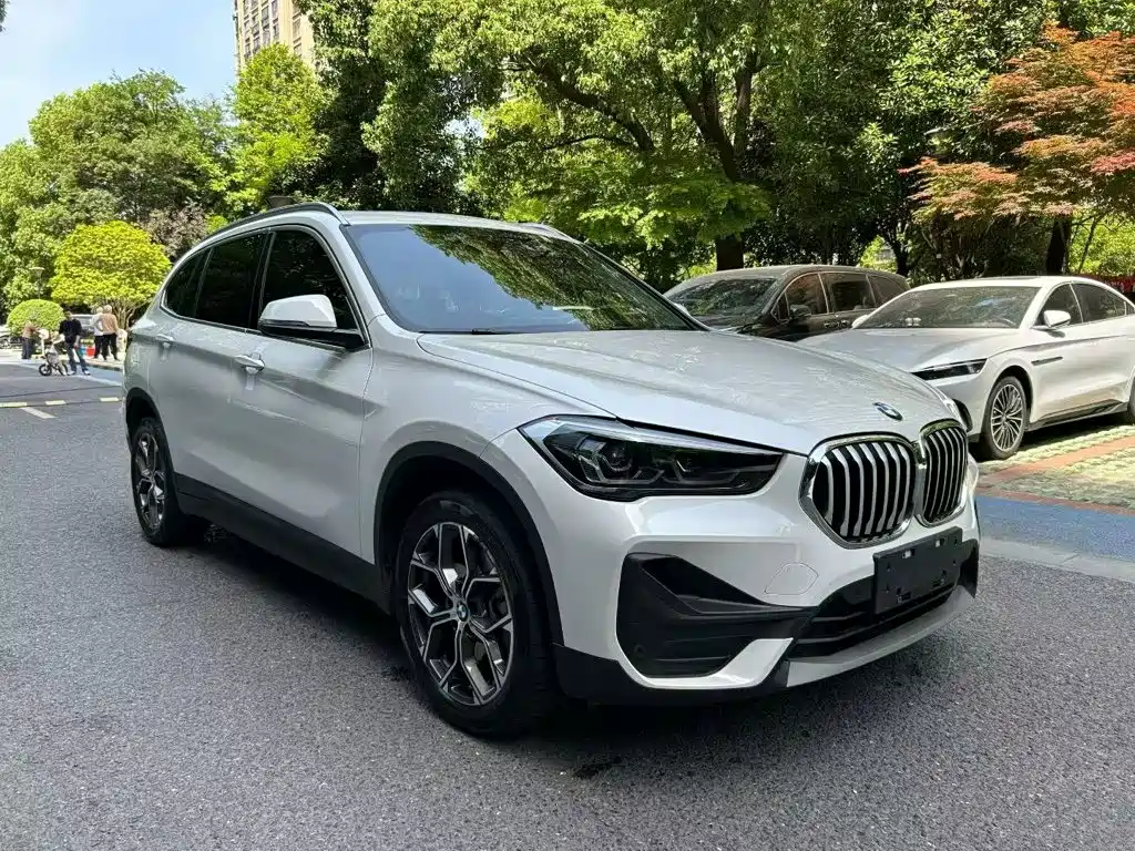 BMW X1 — миниатюра 2