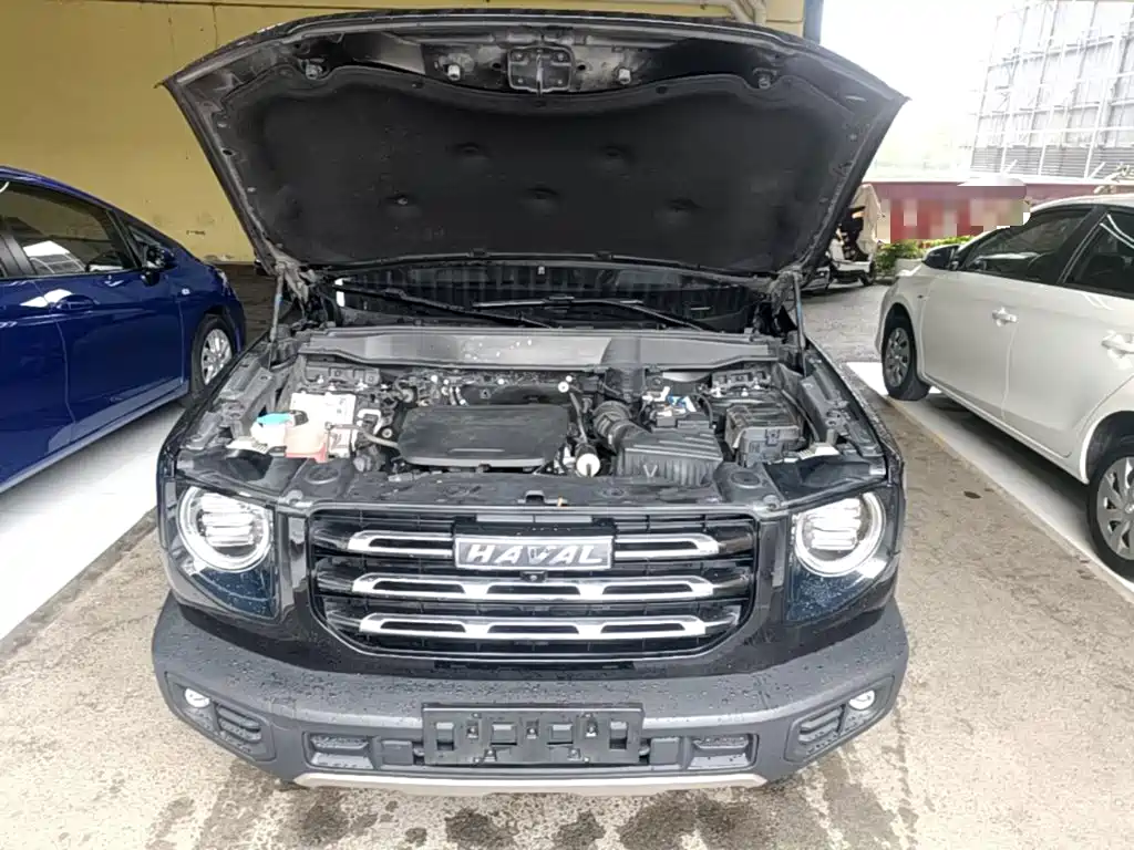 Haval Big Dog — миниатюра 20