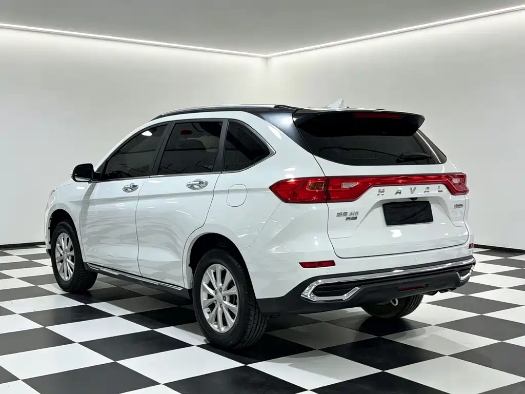 Haval M6 — миниатюра 12