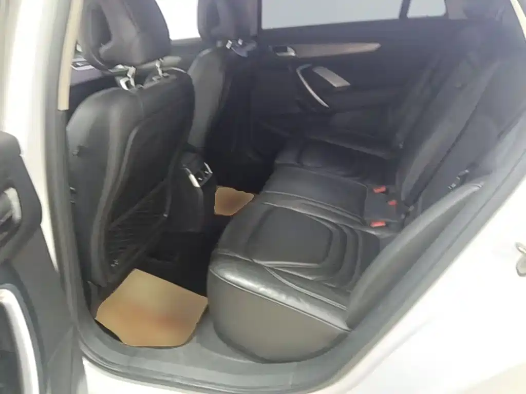 DS DS 4S — миниатюра 17
