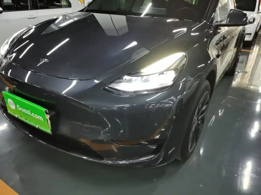 Tesla Model Y — миниатюра 24