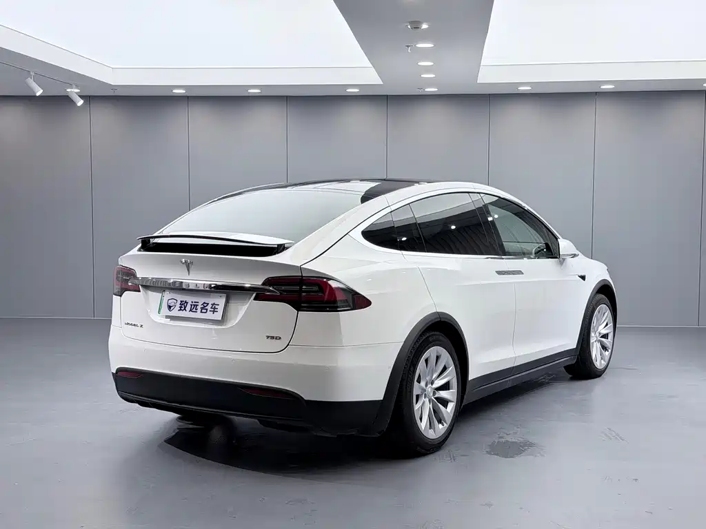 Tesla Model X — миниатюра 6