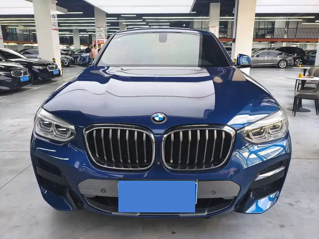 BMW X4 — миниатюра 2