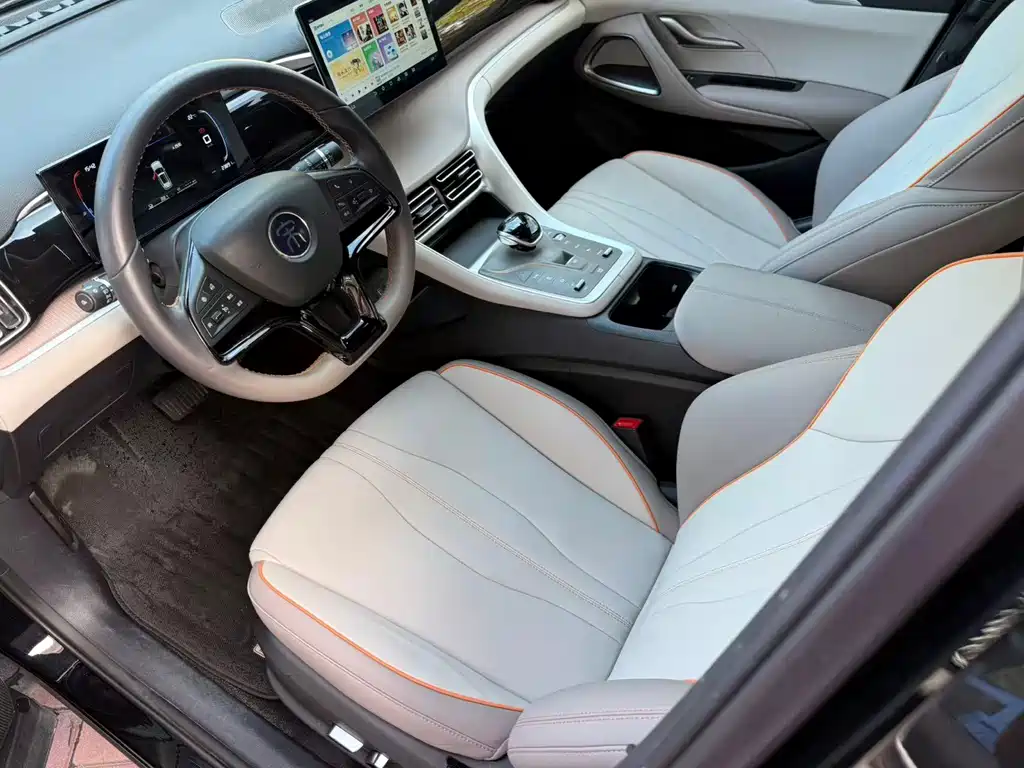 BYD Pro New Energy — миниатюра 8