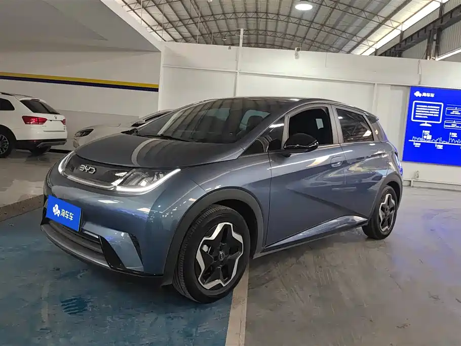 Byd Dolphin 2024