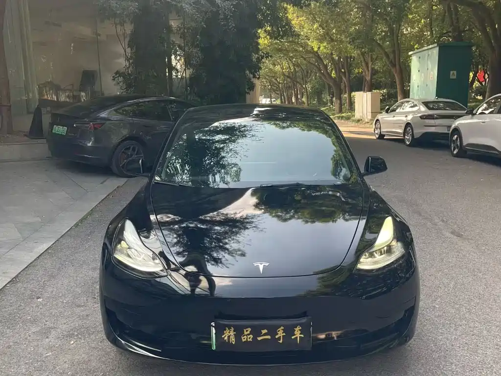 Tesla Model 3 — миниатюра 2