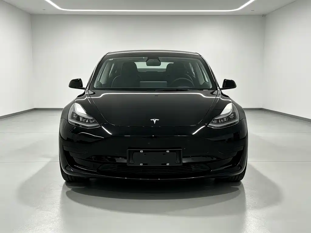 Tesla Model 3 — миниатюра 2