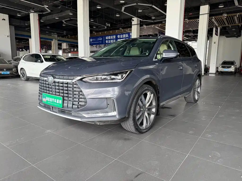 BYD Tang New Energy — миниатюра 2