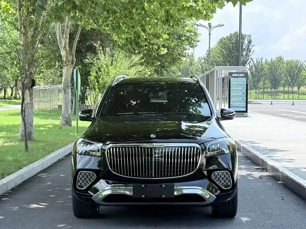 Mercedes-Benz GLS — миниатюра 2