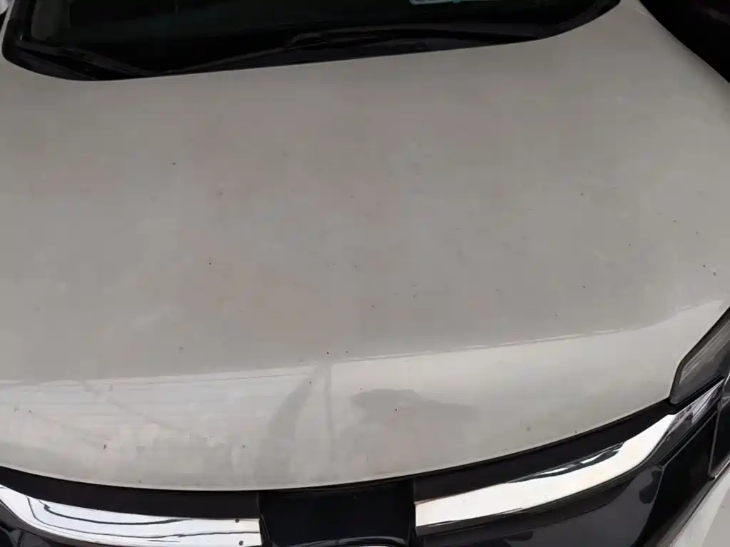 Honda CR-V — миниатюра 11
