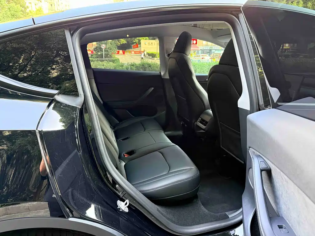 Tesla Model Y — миниатюра 12