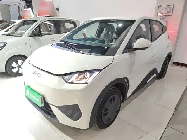 2026 BYD Seagull