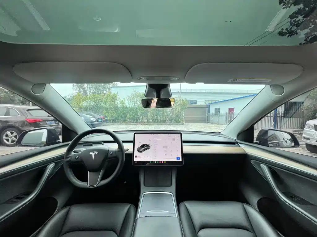 Tesla Model Y — миниатюра 7