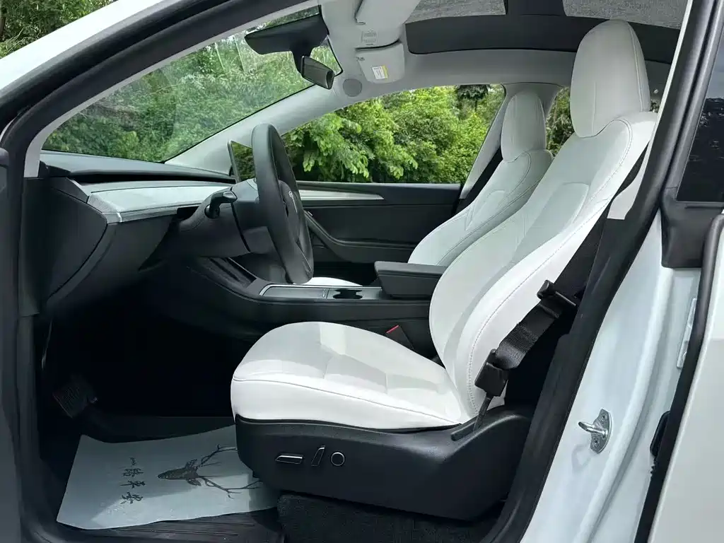 Tesla Model Y — миниатюра 4