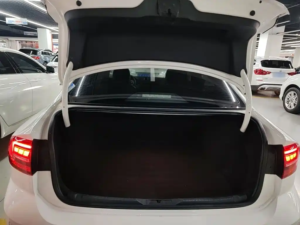 Volkswagen Lamando — миниатюра 19