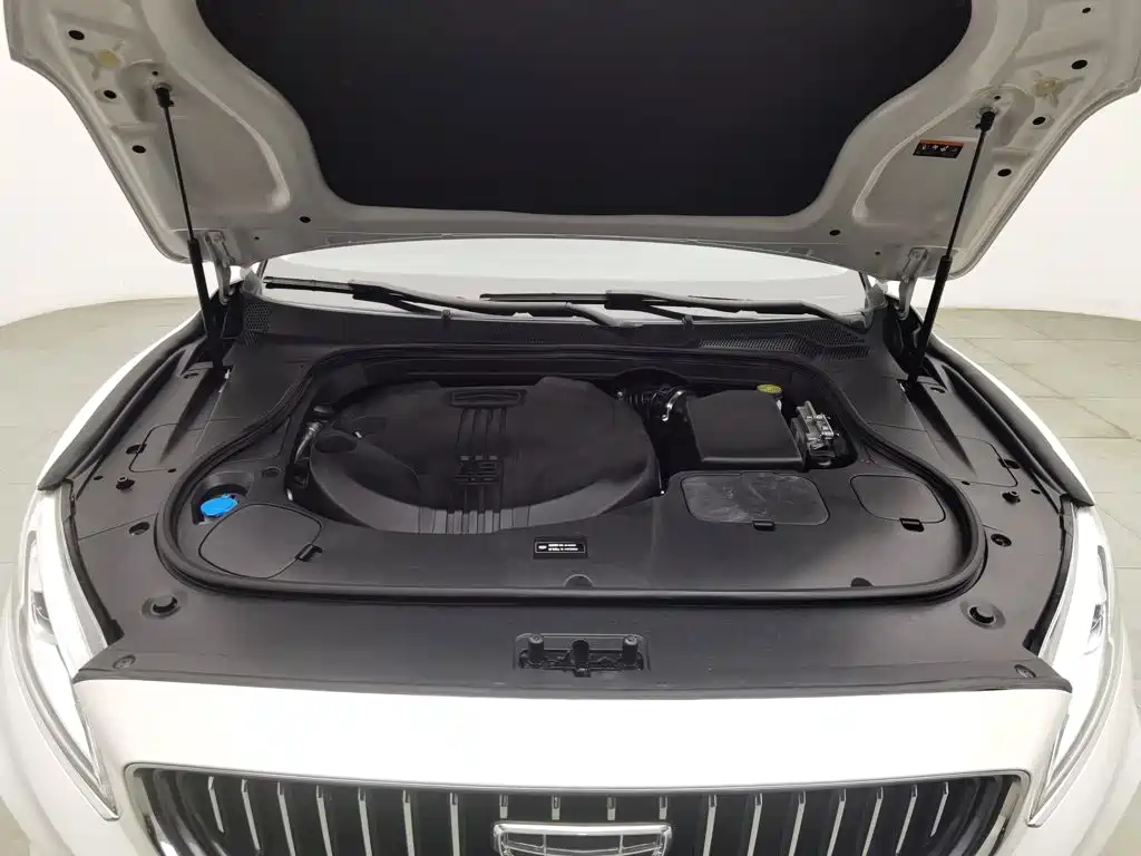 Geely Borui — миниатюра 6