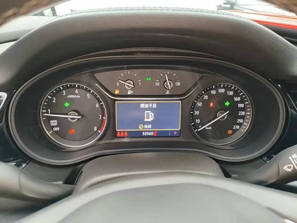 Buick Regal — миниатюра 12