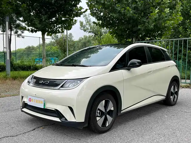 2023 BYD Dolphin