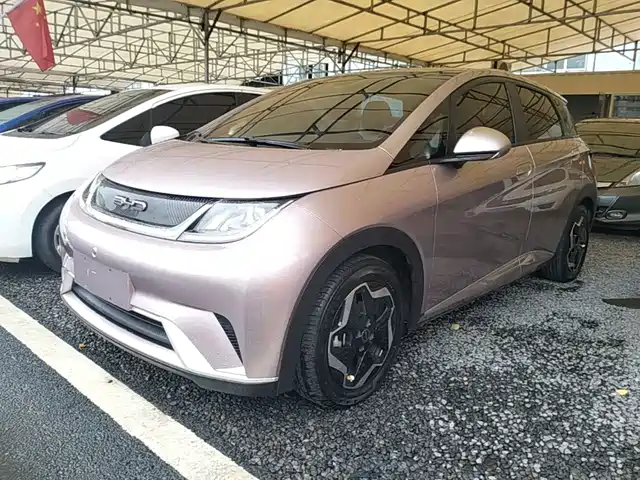2022 BYD Dolphin