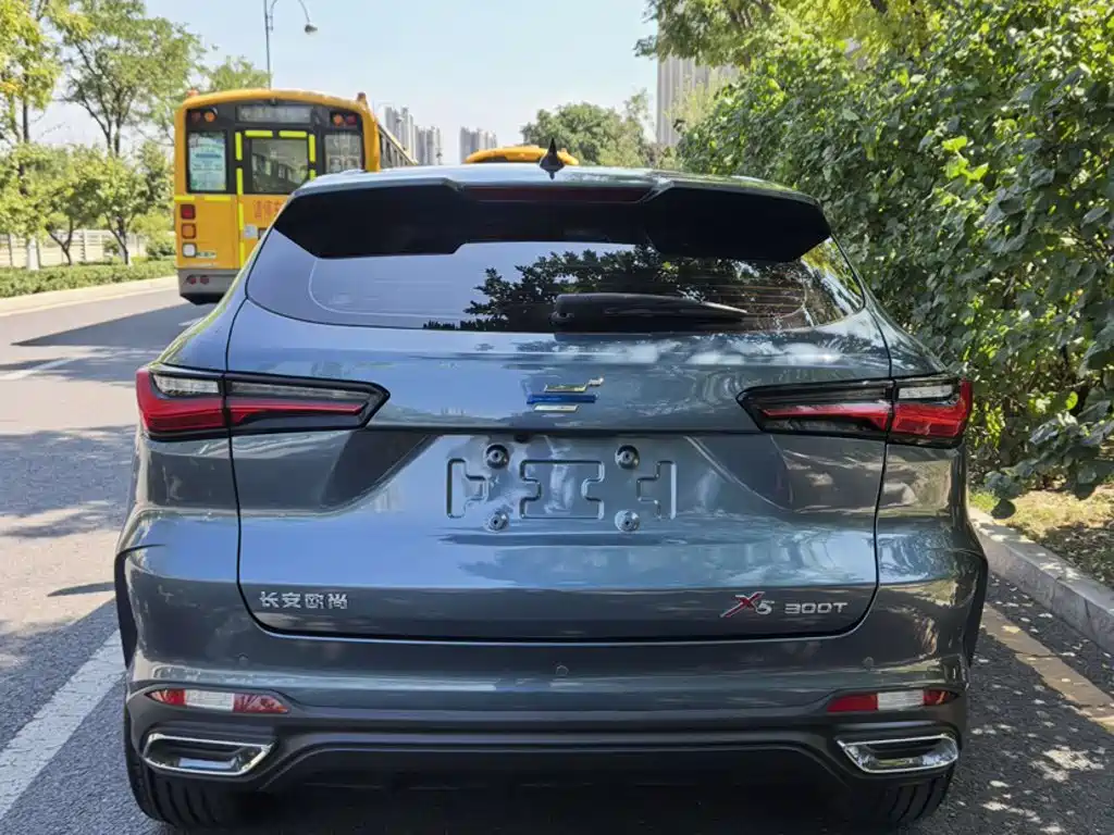 Oshan Oushang X5 — миниатюра 10
