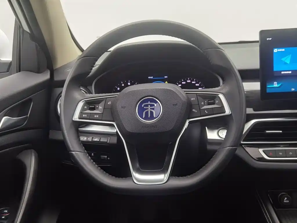 BYD Song — миниатюра 11