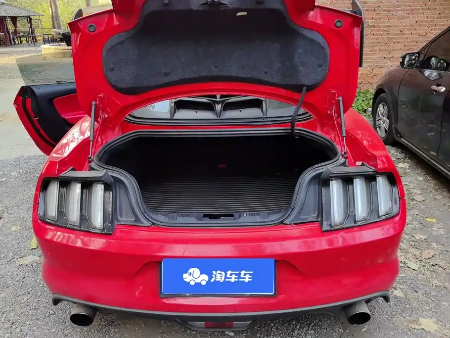 Ford Mustang — миниатюра 4