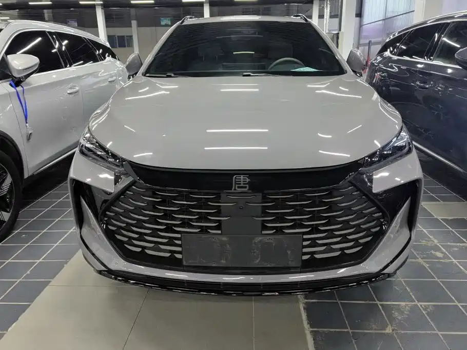 BYD Tang New Energy — миниатюра 2