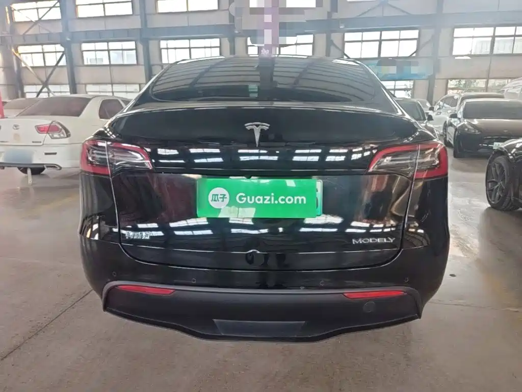 Tesla Model Y — миниатюра 6