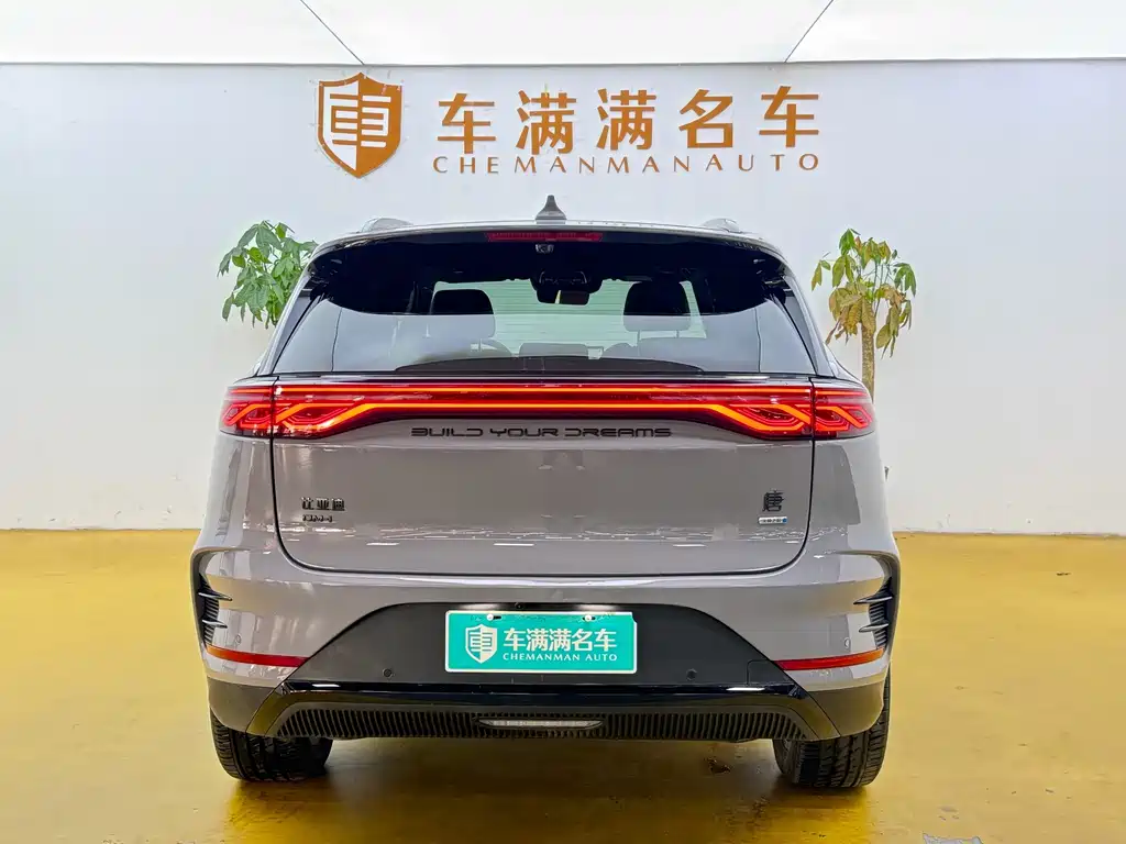BYD Tang New Energy — миниатюра 12