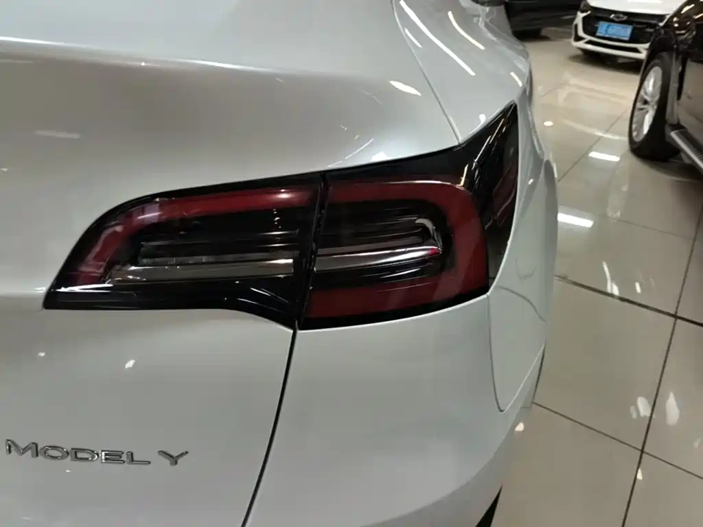 Tesla Model Y — миниатюра 8