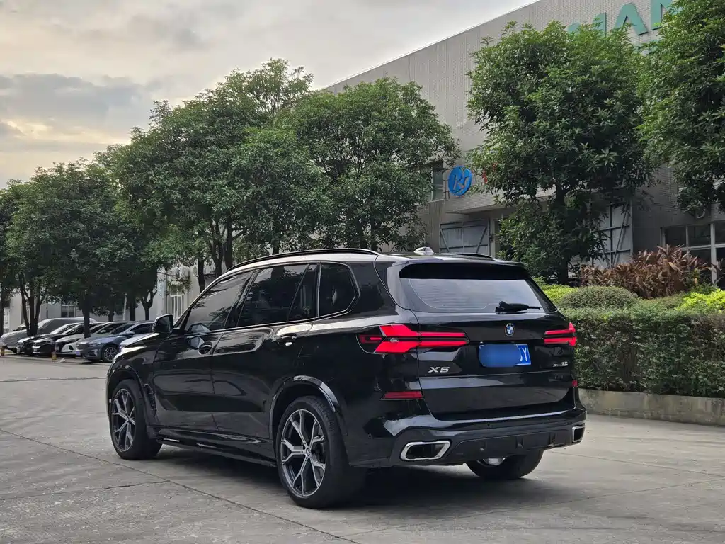 BMW X5 — миниатюра 10