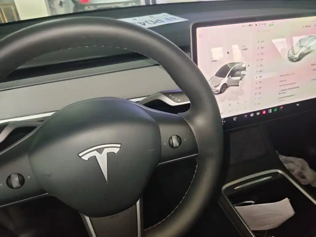 Tesla Model Y — миниатюра 14