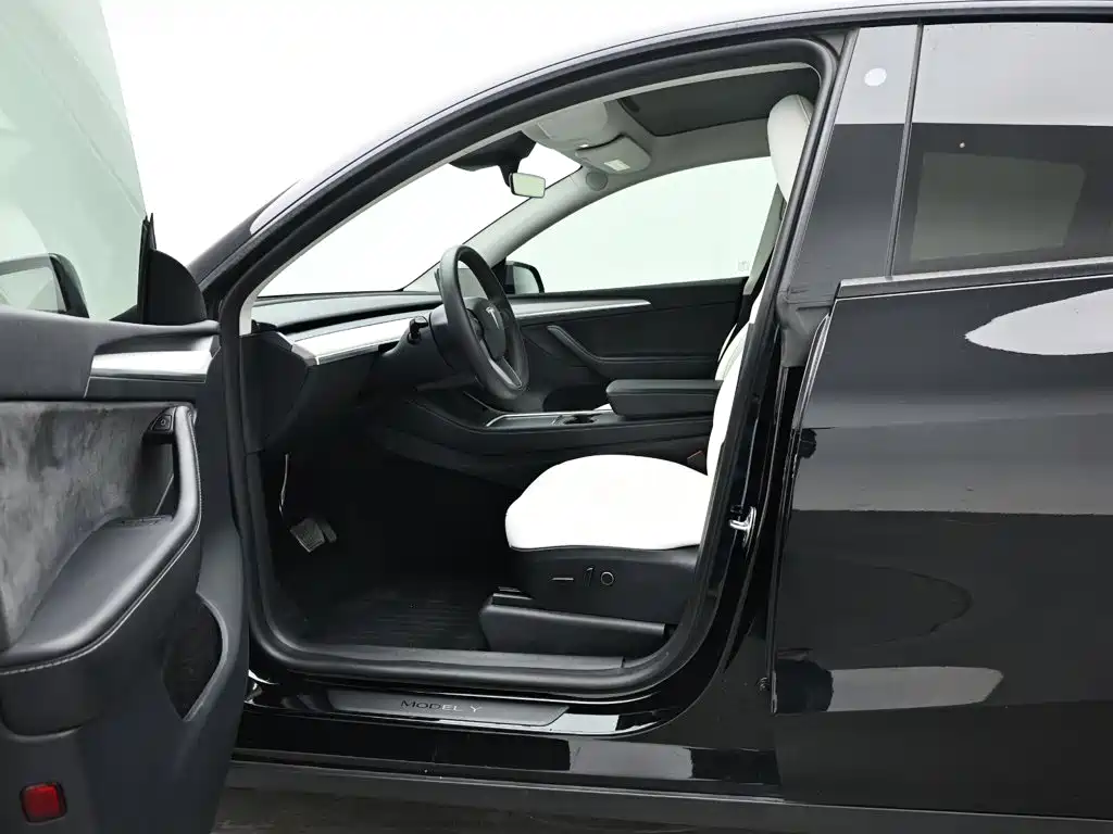 Tesla Model Y — миниатюра 10